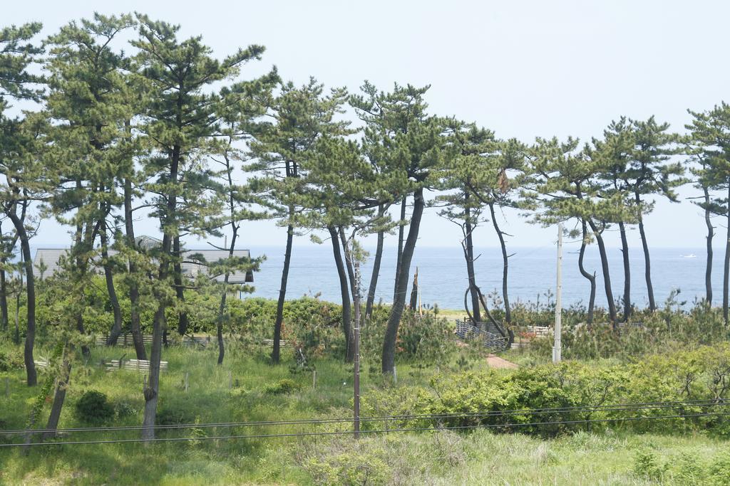 うまし宿 とト屋 京丹後市 エクステリア 写真